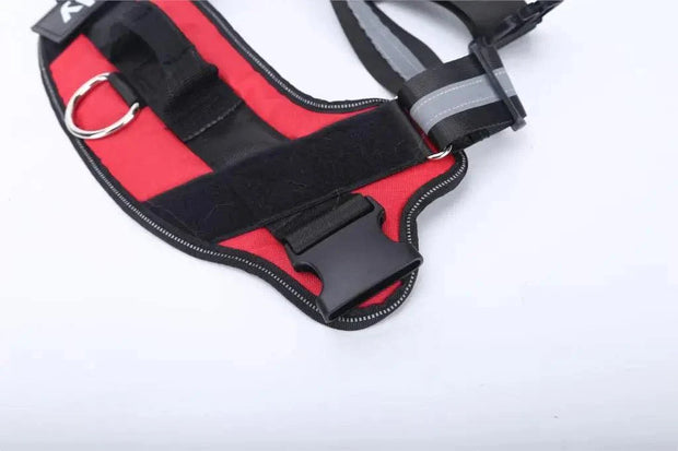 Personalized Dog Harness