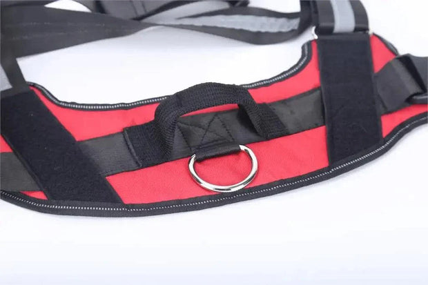 Personalized Dog Harness