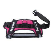 Personalized Dog Harness