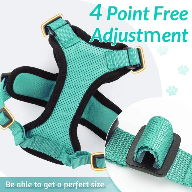 Cat Harness and Leash