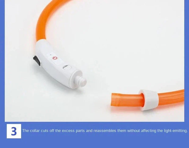 USB Rechargeable Luminous Collar