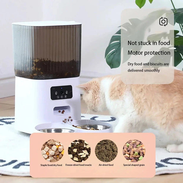 Smart Cat Feeder