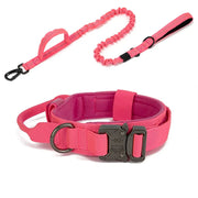 Pet Dog Collar