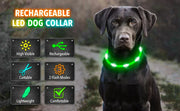 USB Rechargeable Luminous Collar