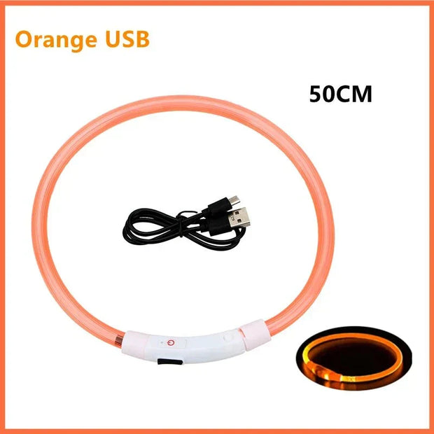 USB Rechargeable Luminous Collar