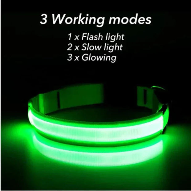 USB Rechargeable Luminous Collar