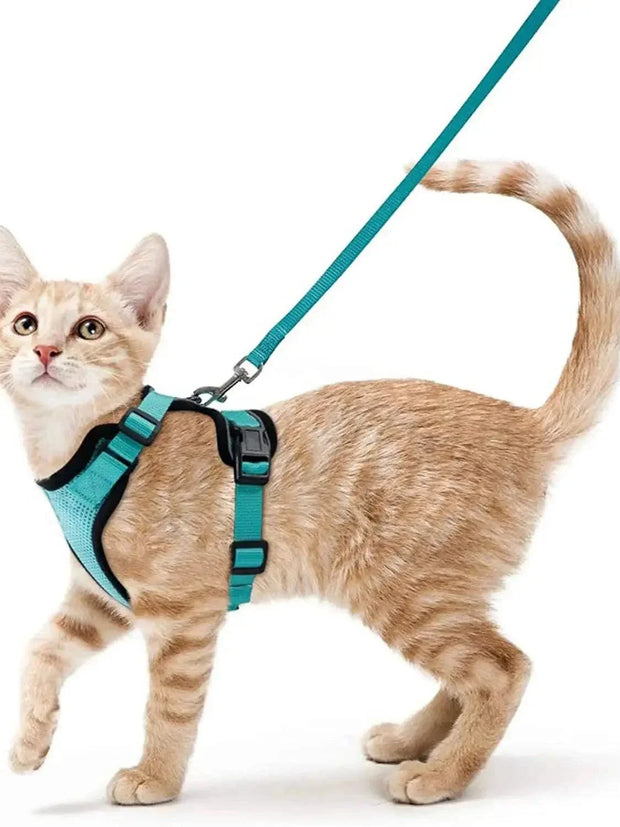 Cat Harness and Leash