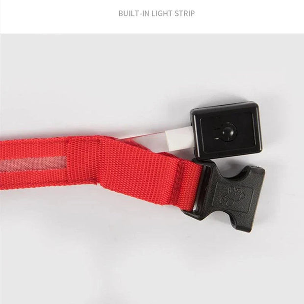 USB Rechargeable Luminous Collar