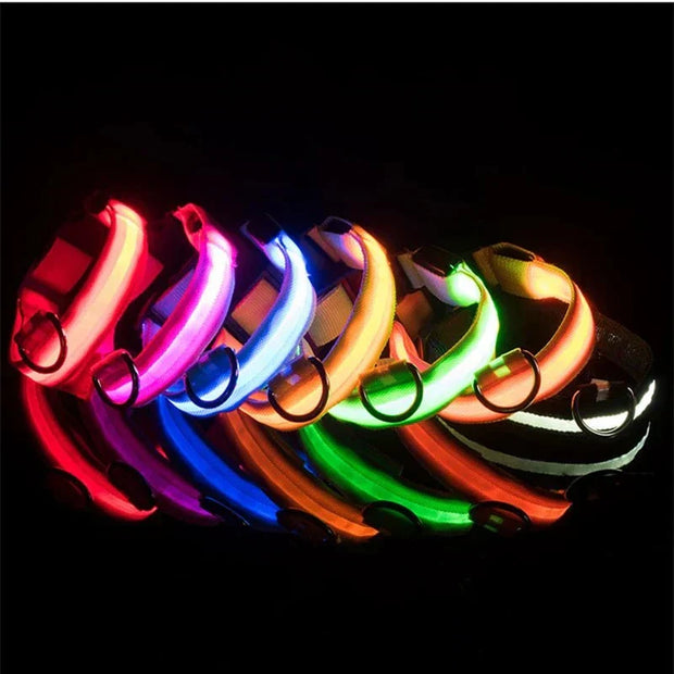 USB Rechargeable Luminous Collar