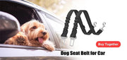 Personalized Dog Harness