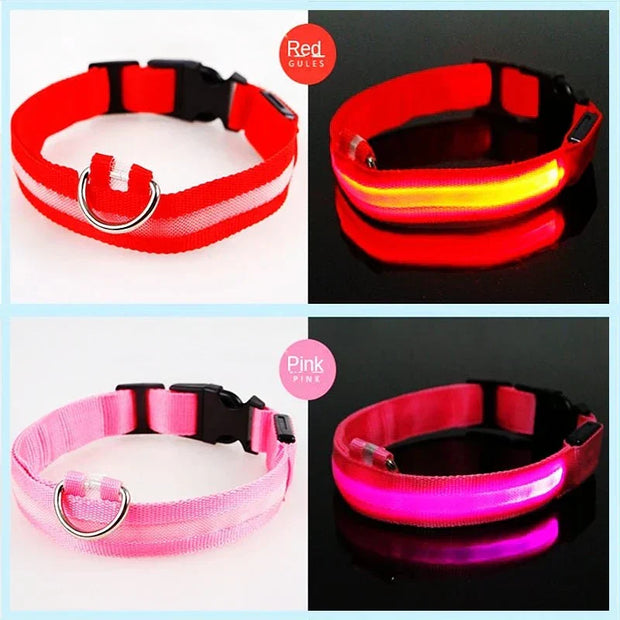 USB Rechargeable Luminous Collar