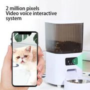 Smart Cat Feeder