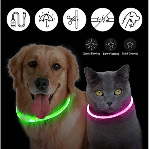 USB Rechargeable Luminous Collar