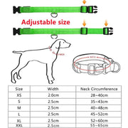 USB Rechargeable Luminous Collar