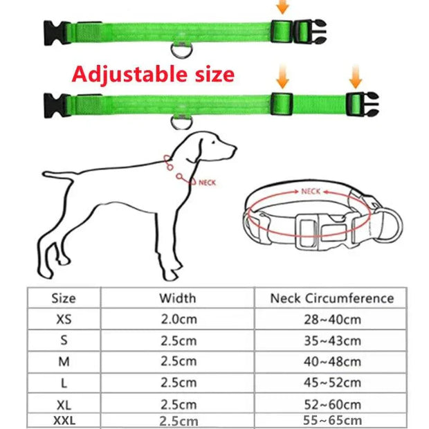 USB Rechargeable Luminous Collar