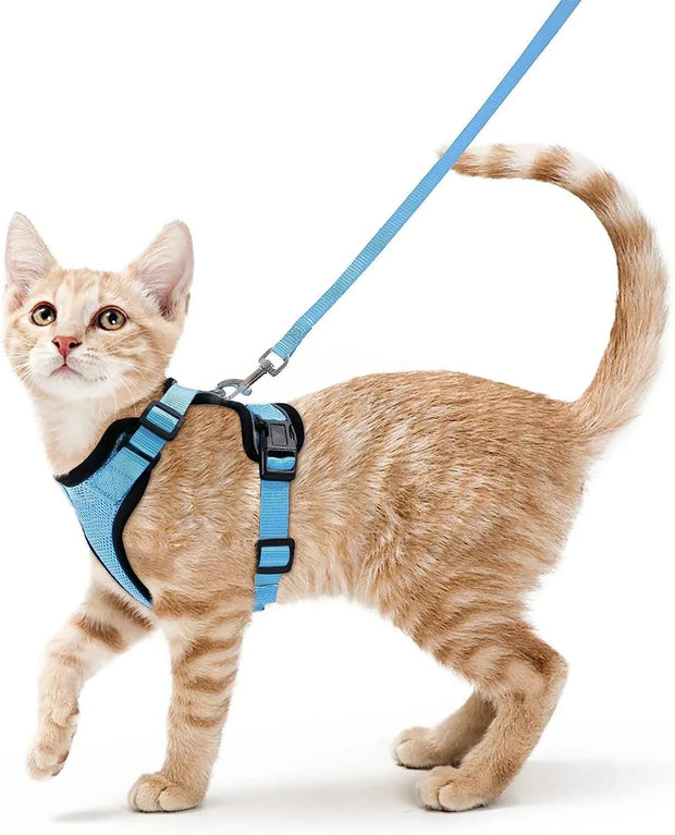 Cat Harness and Leash