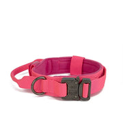 Pet Dog Collar