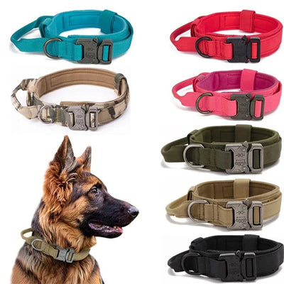 Durable nylon dog collar and leash set with reflective features, available in multiple colors for large breeds.