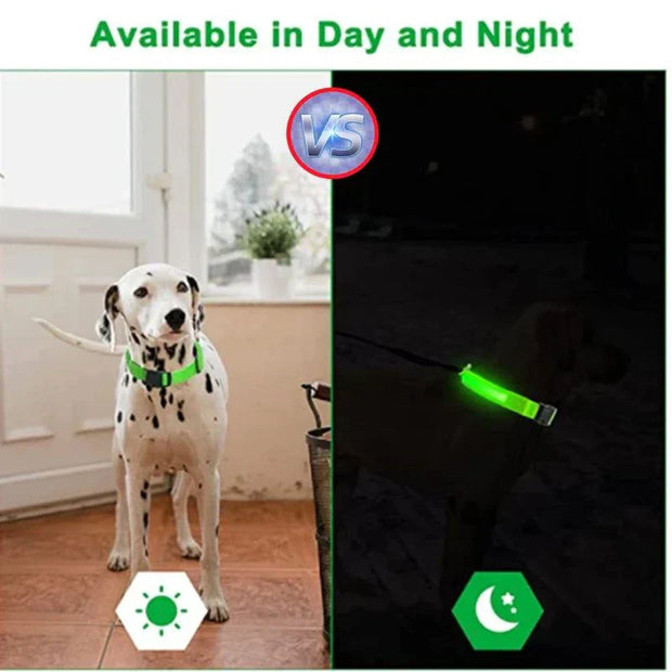 USB Rechargeable Luminous Collar