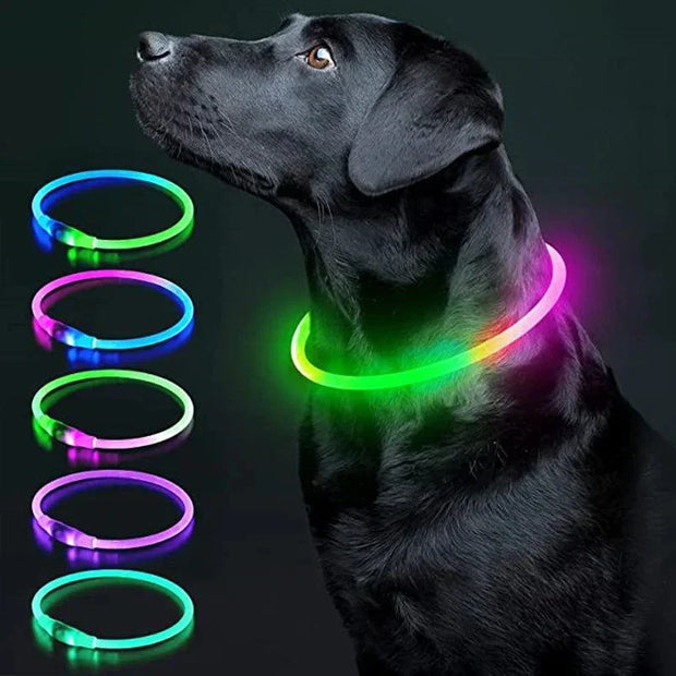 USB Rechargeable Luminous Collar