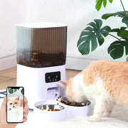 Smart Cat Feeder