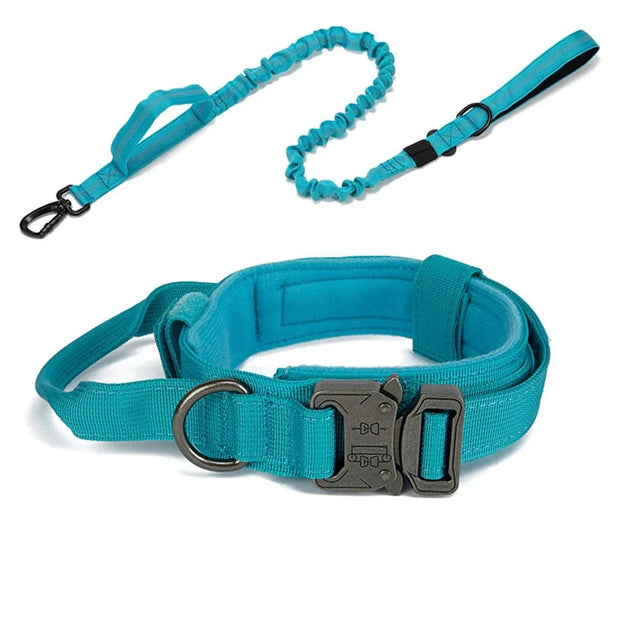 Pet Dog Collar