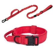 Pet Dog Collar