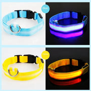 USB Rechargeable Luminous Collar