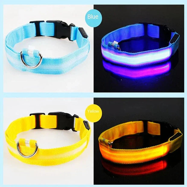 USB Rechargeable Luminous Collar