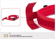 Pet Dog Collar