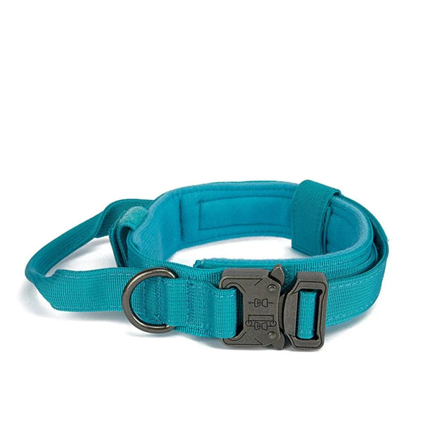 Pet Dog Collar