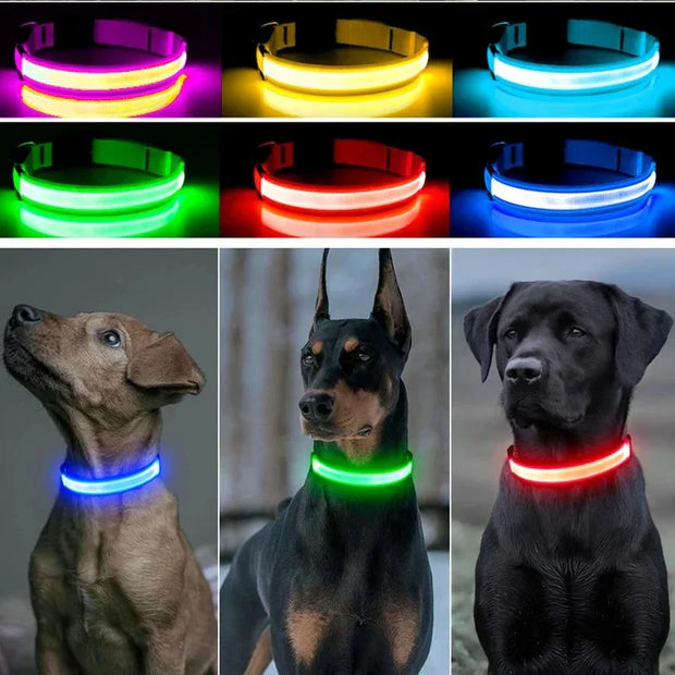 USB Rechargeable Luminous Collar