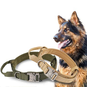 Pet Dog Collar