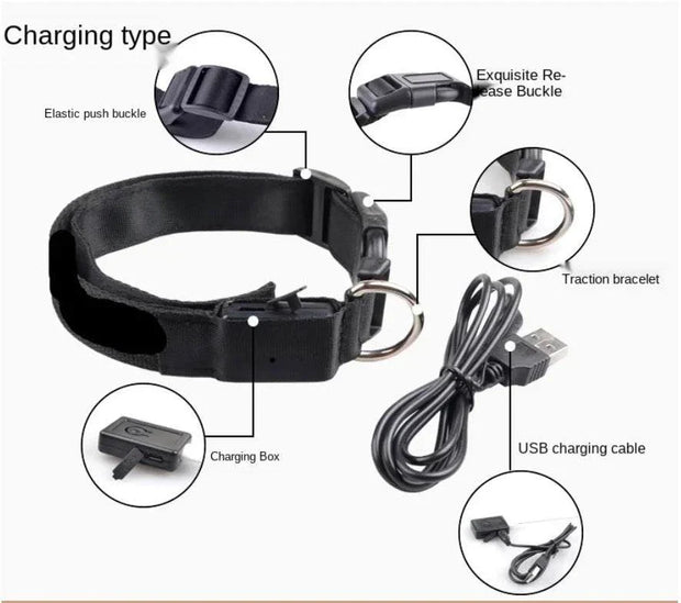 USB Rechargeable Luminous Collar