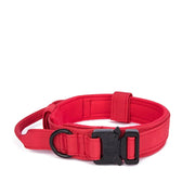 Pet Dog Collar