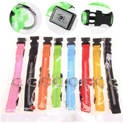 USB Rechargeable Luminous Collar