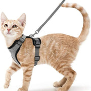 Cat Harness and Leash