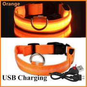 USB Rechargeable Luminous Collar