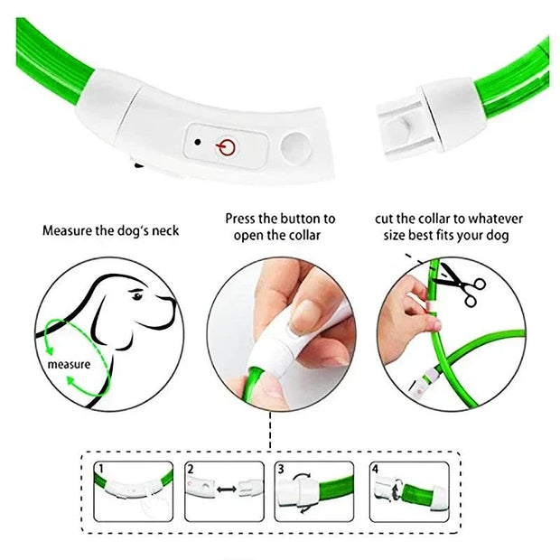 USB Rechargeable Luminous Collar