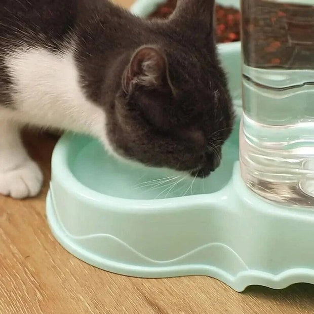 3.8L Pet feeder