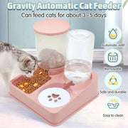 Automatic Cat Feeder